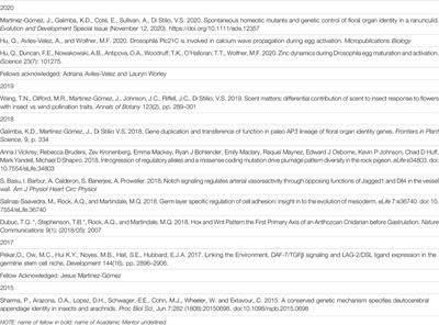 Increasing Diversity in Developmental Biology